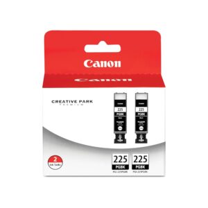 Original Canon PGI-225 Black (Twin Pack) Ink Cartridge 4530B007
